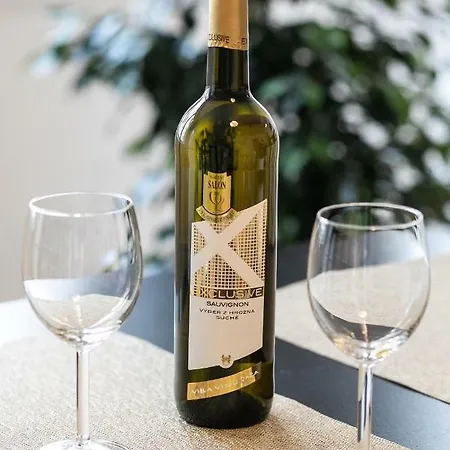 Spacious In The Old Town Of Pressburg