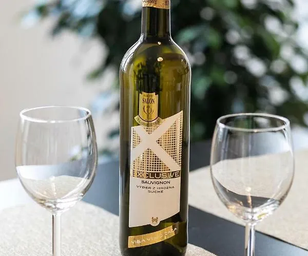 Spacious In The Old Town Of Bratislava